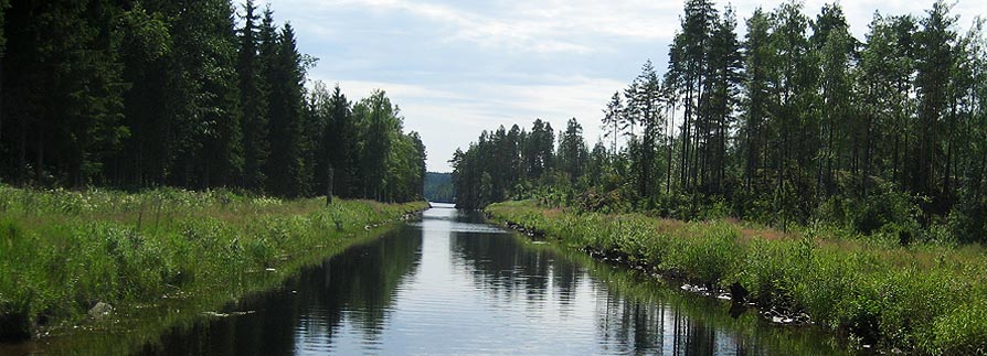 Kaunis veeran risteilyt